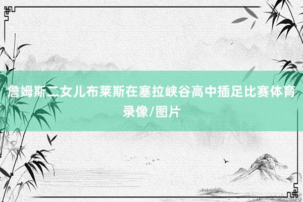 詹姆斯二女儿布莱斯在塞拉峡谷高中插足比赛体育录像/图片