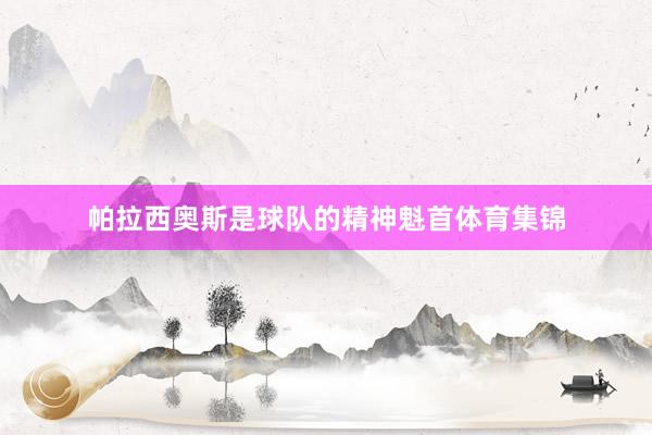 帕拉西奥斯是球队的精神魁首体育集锦