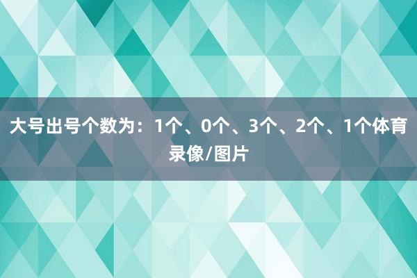 大号出号个数为：1个、0个、3个、2个、1个体育录像/图片