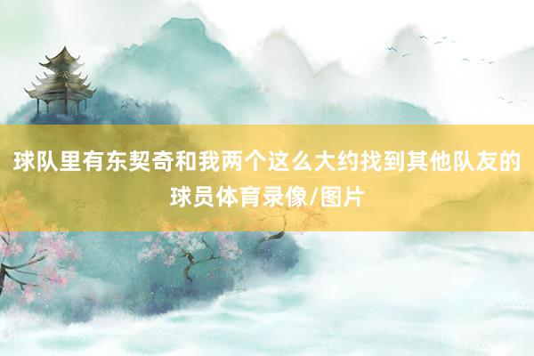 球队里有东契奇和我两个这么大约找到其他队友的球员体育录像/图片
