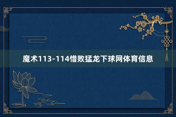 魔术113-114惜败猛龙下球网体育信息