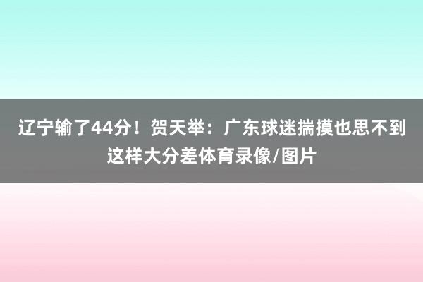 辽宁输了44分！贺天举：广东球迷揣摸也思不到这样大分差体育录像/图片