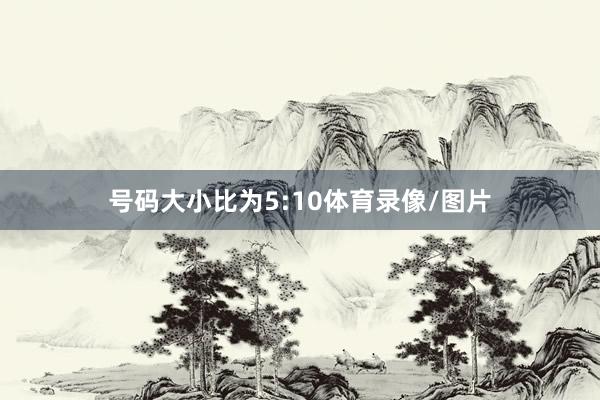 号码大小比为5:10体育录像/图片