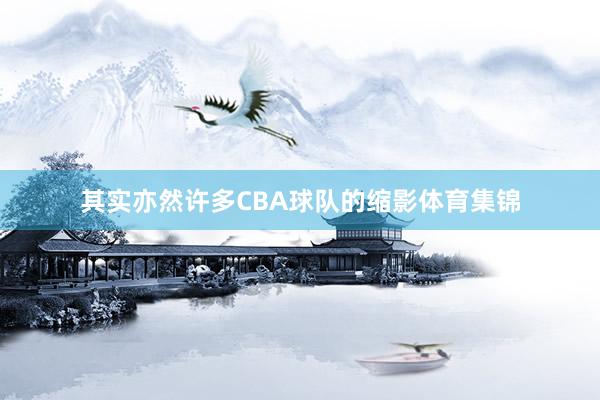 其实亦然许多CBA球队的缩影体育集锦
