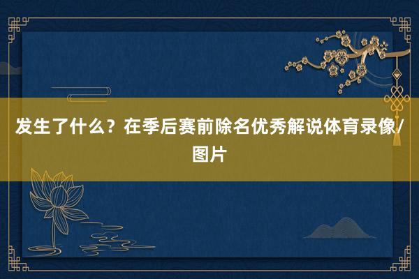 发生了什么？在季后赛前除名优秀解说体育录像/图片