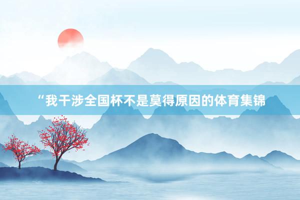 “我干涉全国杯不是莫得原因的体育集锦