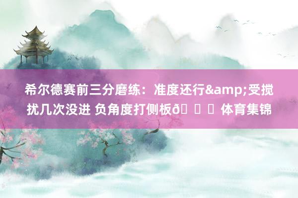 希尔德赛前三分磨练：准度还行&受搅扰几次没进 负角度打侧板😂体育集锦