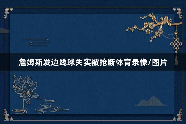 詹姆斯发边线球失实被抢断体育录像/图片