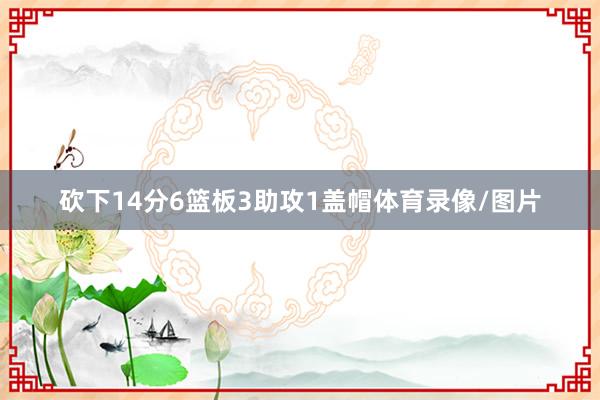砍下14分6篮板3助攻1盖帽体育录像/图片