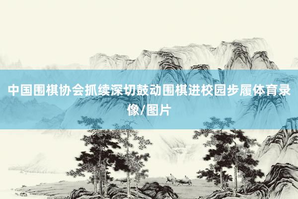 中国围棋协会抓续深切鼓动围棋进校园步履体育录像/图片