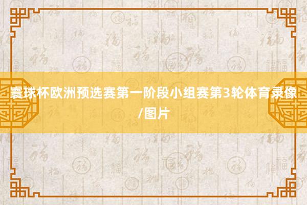 寰球杯欧洲预选赛第一阶段小组赛第3轮体育录像/图片
