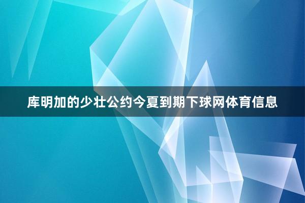 库明加的少壮公约今夏到期下球网体育信息