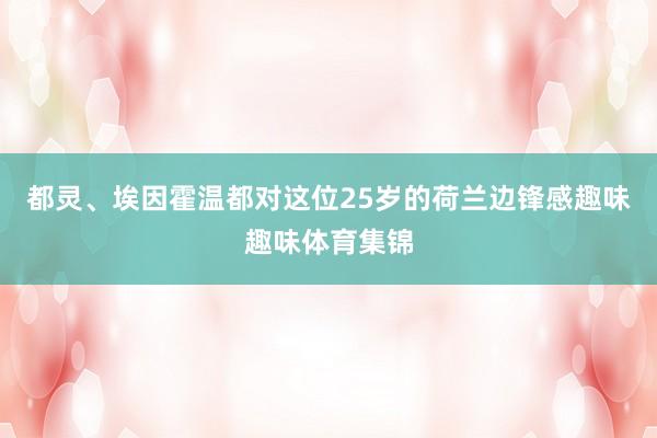 都灵、埃因霍温都对这位25岁的荷兰边锋感趣味趣味体育集锦