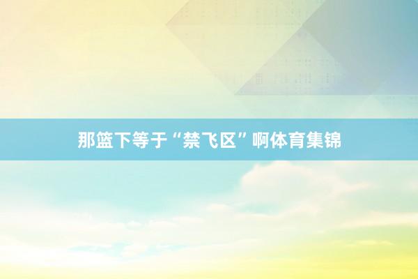 那篮下等于“禁飞区”啊体育集锦