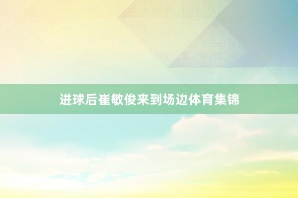 进球后崔敏俊来到场边体育集锦