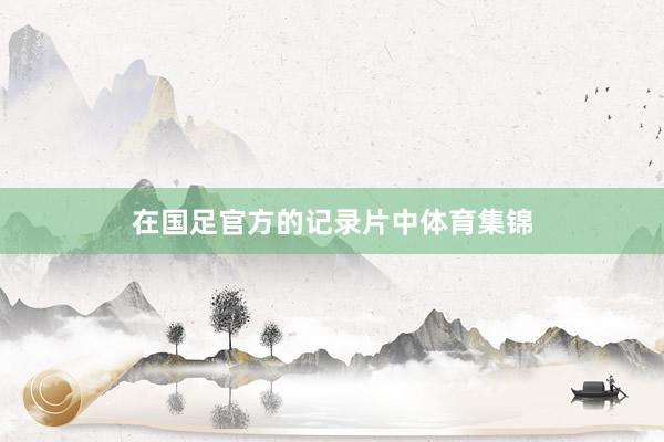 在国足官方的记录片中体育集锦