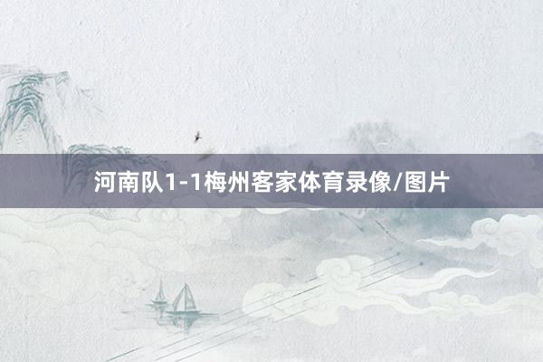 河南队1-1梅州客家体育录像/图片