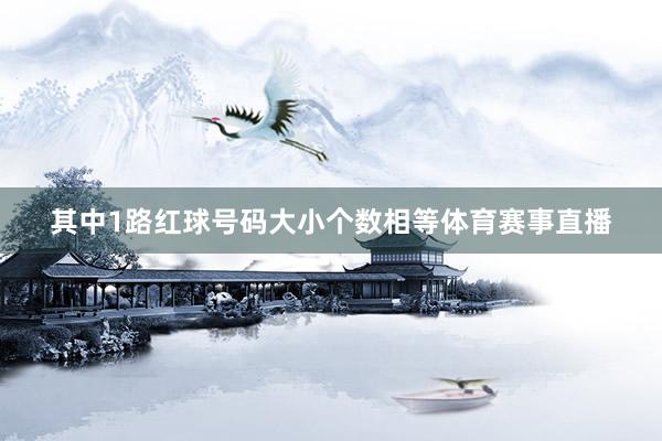 其中1路红球号码大小个数相等体育赛事直播