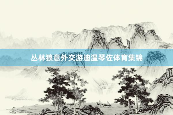 丛林狼意外交游迪温琴佐体育集锦