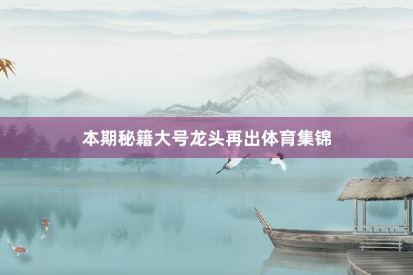 本期秘籍大号龙头再出体育集锦