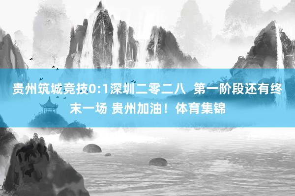 贵州筑城竞技0:1深圳二零二八  第一阶段还有终末一场 贵州加油！体育集锦