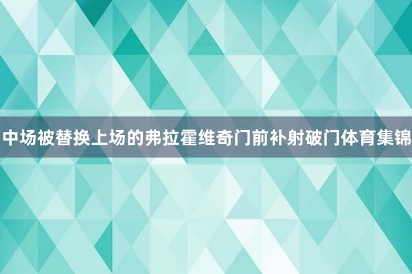中场被替换上场的弗拉霍维奇门前补射破门体育集锦