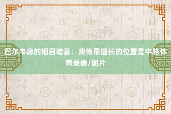 巴尔韦德的细君暗意：费德最擅长的位置是中路体育录像/图片
