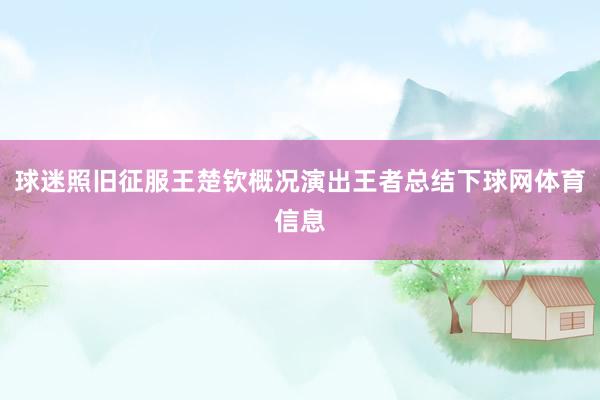 球迷照旧征服王楚钦概况演出王者总结下球网体育信息
