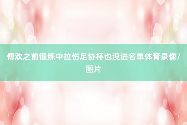 傅欢之前锻练中拉伤足协杯也没进名单体育录像/图片