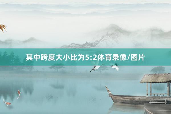 其中跨度大小比为5:2体育录像/图片