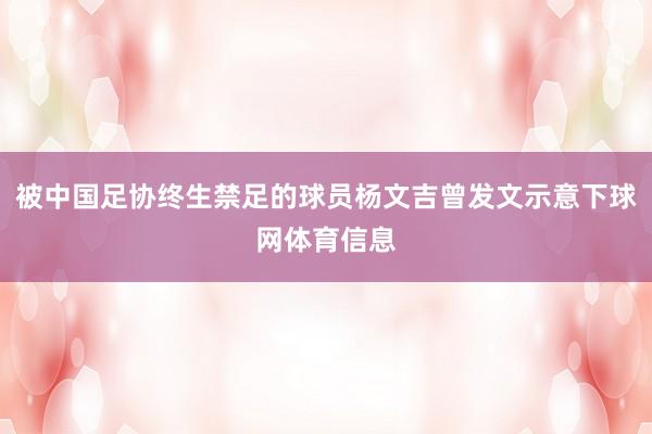 被中国足协终生禁足的球员杨文吉曾发文示意下球网体育信息