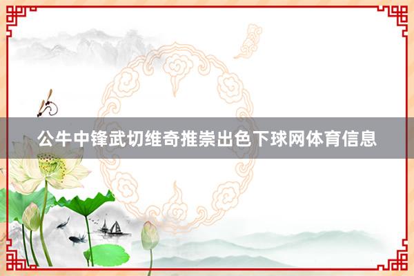 公牛中锋武切维奇推崇出色下球网体育信息