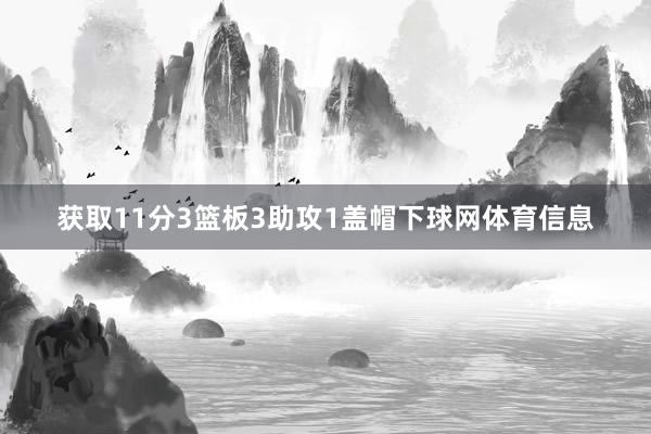 获取11分3篮板3助攻1盖帽下球网体育信息