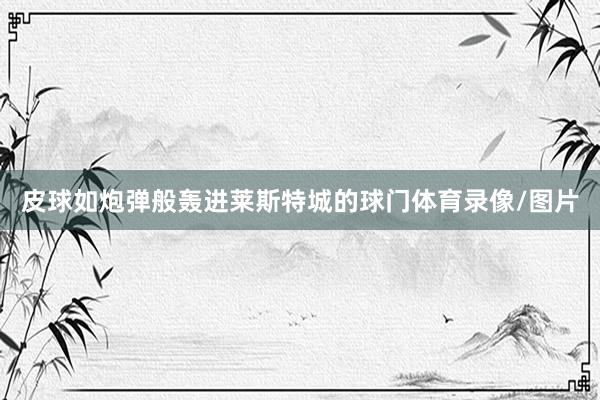 皮球如炮弹般轰进莱斯特城的球门体育录像/图片
