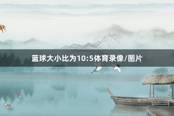 蓝球大小比为10:5体育录像/图片