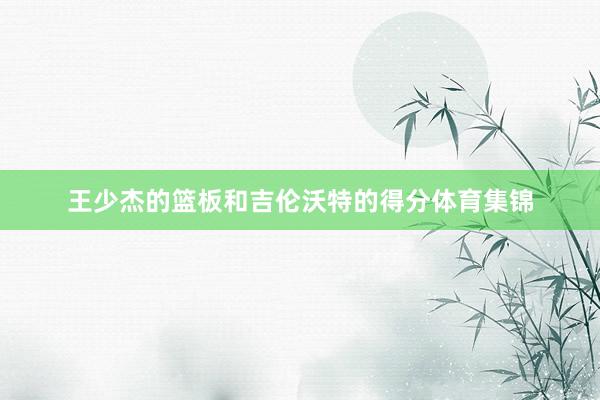 王少杰的篮板和吉伦沃特的得分体育集锦