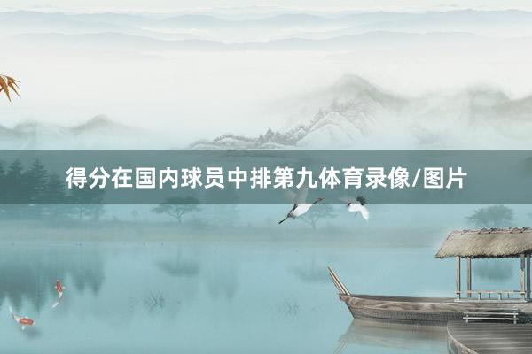 得分在国内球员中排第九体育录像/图片