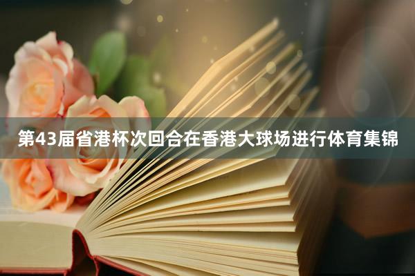 第43届省港杯次回合在香港大球场进行体育集锦