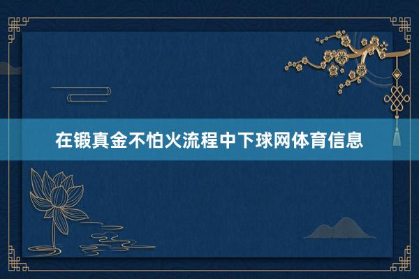 在锻真金不怕火流程中下球网体育信息