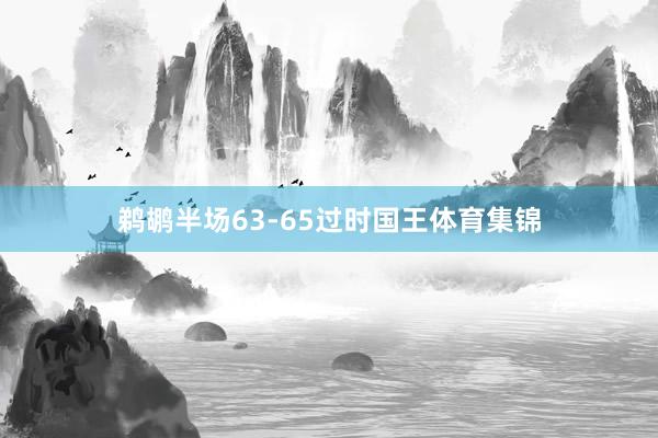 鹈鹕半场63-65过时国王体育集锦