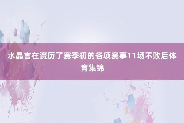 水晶宫在资历了赛季初的各项赛事11场不败后体育集锦