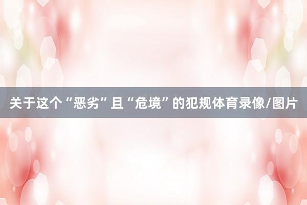 关于这个“恶劣”且“危境”的犯规体育录像/图片