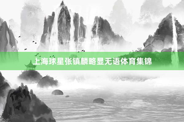 上海球星张镇麟略显无语体育集锦